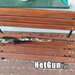 Zdjęcie 6