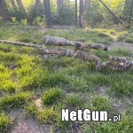 Zdjęcie 4