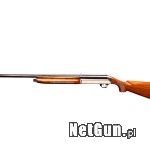 Zdjęcie 4