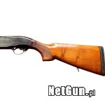 Zdjęcie 8