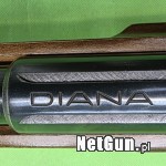Zdjęcie 5