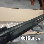 Zdjęcie 6