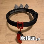 Zdjęcie 2