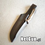 Zdjęcie 8