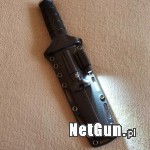 Zdjęcie 6