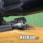 Zdjęcie 8