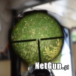 Zdjęcie 4