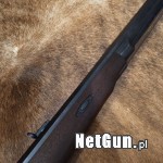 Zdjęcie 8