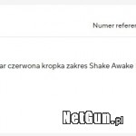 Zdjęcie 9