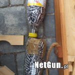 Zdjęcie 9