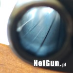 Zdjęcie 9
