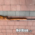 Zdjęcie 7