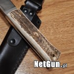Zdjęcie 5