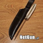Zdjęcie 8
