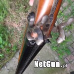 Zdjęcie 4