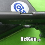 Zdjęcie 6