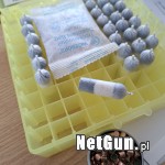 Zdjęcie 3