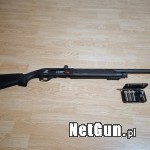 Zdjęcie 9