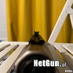 Zdjęcie 4