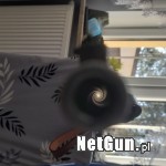 Zdjęcie 7