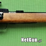 Zdjęcie 4