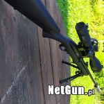 Zdjęcie 4
