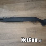 Zdjęcie 3