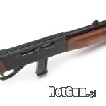 Zdjęcie 9