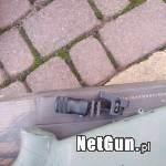 Zdjęcie 5
