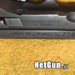 Zdjęcie 8