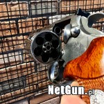 Zdjęcie 3